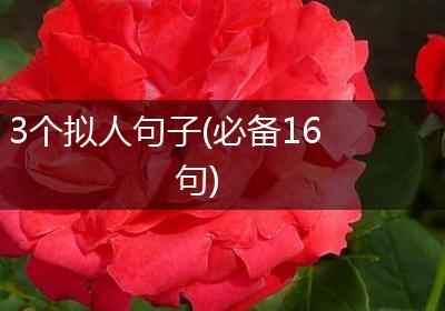 3个拟人句子(必备16句)