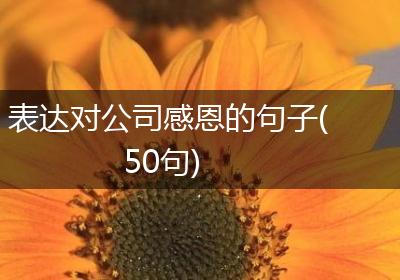 表达对公司感恩的句子(50句)