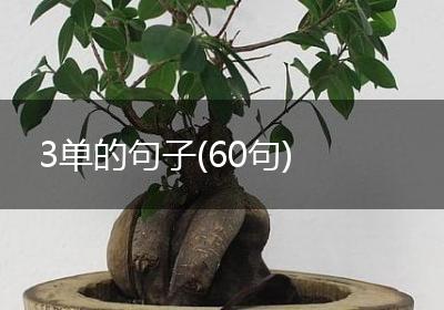 3单的句子(60句)