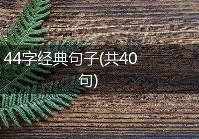 44字经典句子(共40句)