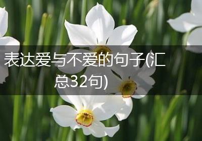 表达爱与不爱的句子(汇总32句)