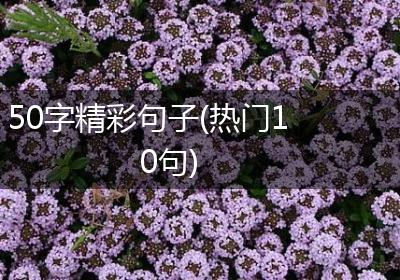 50字精彩句子(热门10句)