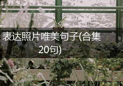 表达照片唯美句子(合集20句)