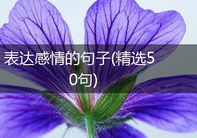 表达感情的句子(精选50句)