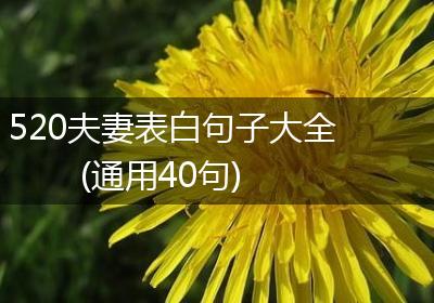 520夫妻表白句子大全(通用40句)