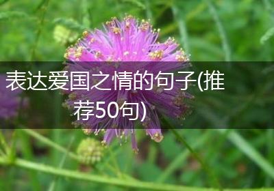 表达爱国之情的句子(推荐50句)