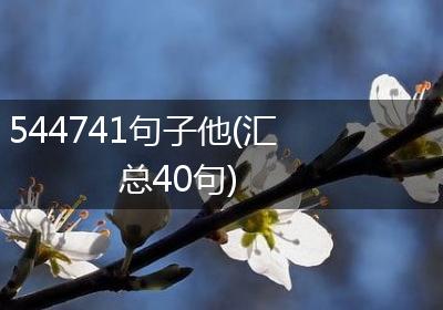 544741句子他(汇总40句)
