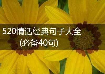 520情话经典句子大全(必备40句)