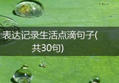 表达记录生活点滴句子(共30句)