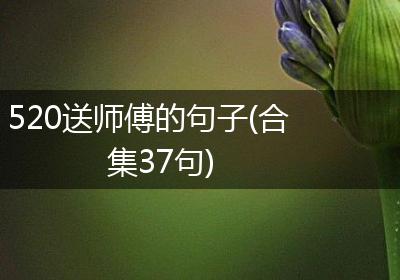 520送师傅的句子(合集37句)