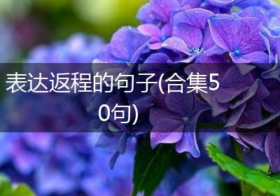 表达返程的句子(合集50句)