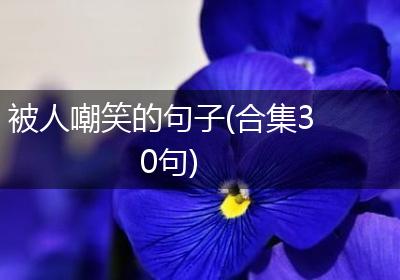 被人嘲笑的句子(合集30句)