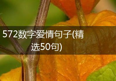 572数字爱情句子(精选50句)