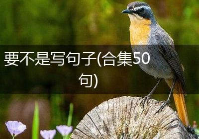 要不是写句子(合集50句)