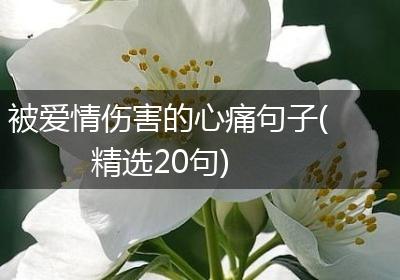被爱情伤害的心痛句子(精选20句)