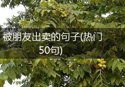 被朋友出卖的句子(热门50句)