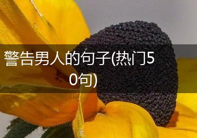 警告男人的句子(热门50句)