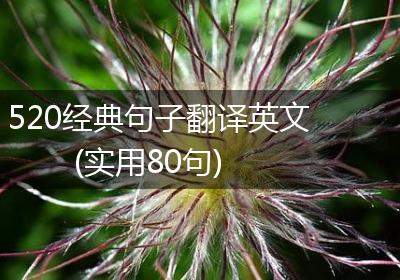 520经典句子翻译英文(实用80句)