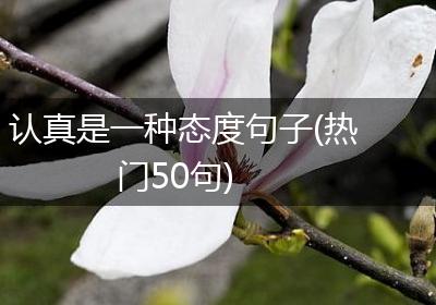 认真是一种态度句子(热门50句)