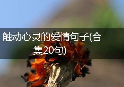 触动心灵的爱情句子(合集20句)