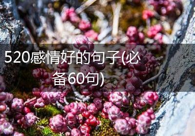 520感情好的句子(必备60句)