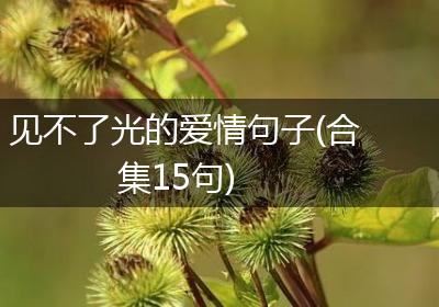 见不了光的爱情句子(合集15句)
