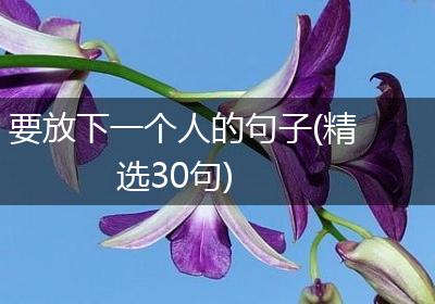 要放下一个人的句子(精选30句)