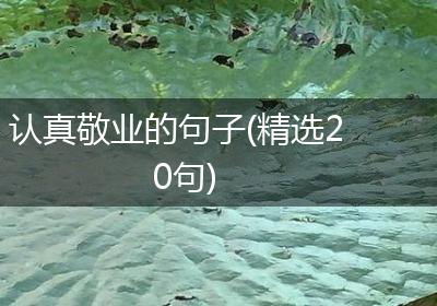 认真敬业的句子(精选20句)