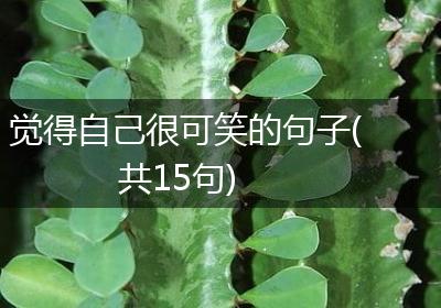 觉得自己很可笑的句子(共15句)