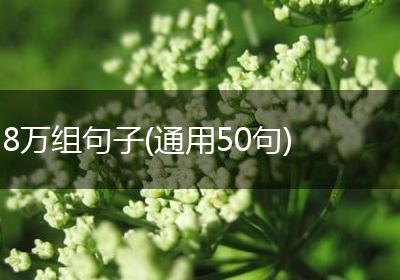 8万组句子(通用50句)