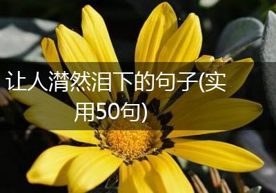 让人潸然泪下的句子(实用50句)