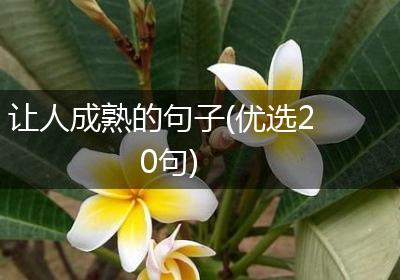 让人成熟的句子(优选20句)
