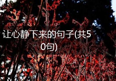 让心静下来的句子(共50句)