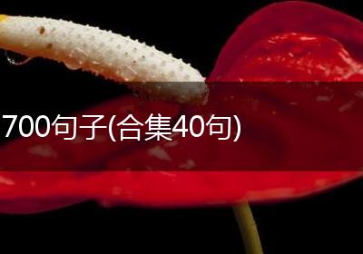 700句子(合集40句)