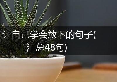 让自己学会放下的句子(汇总48句)