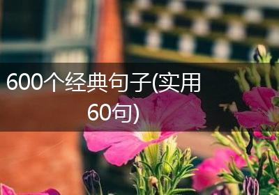 600个经典句子(实用60句)