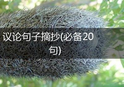 议论句子摘抄(必备20句)