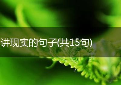 讲现实的句子(共15句)