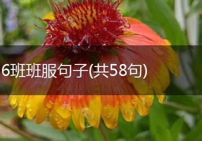 6班班服句子(共58句)