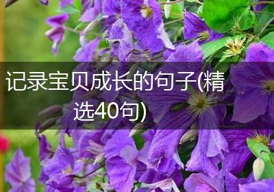 记录宝贝成长的句子(精选40句)