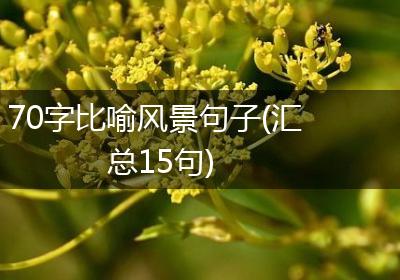 70字比喻风景句子(汇总15句)