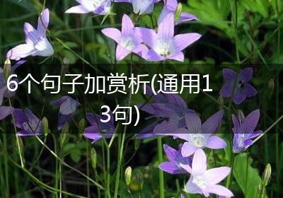 6个句子加赏析(通用13句)