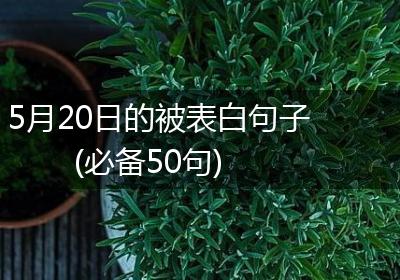 5月20日的被表白句子(必备50句)