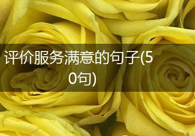 评价服务满意的句子(50句)