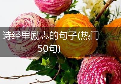 诗经里励志的句子(热门50句)
