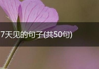 7天见的句子(共50句)