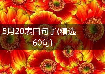 5月20表白句子(精选60句)