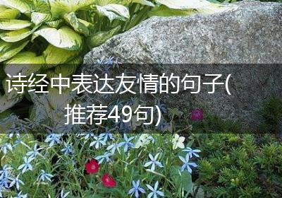 诗经中表达友情的句子(推荐49句)