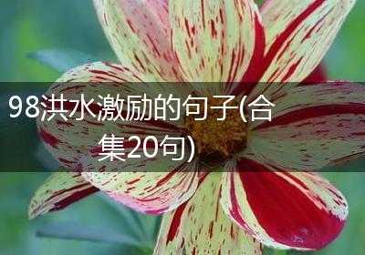 98洪水激励的句子(合集20句)