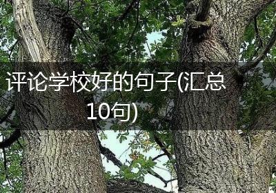 评论学校好的句子(汇总10句)